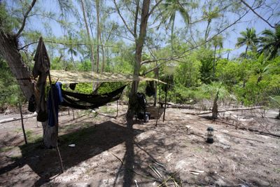 Tarp & hammock knots